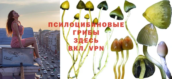 винт Верхний Тагил