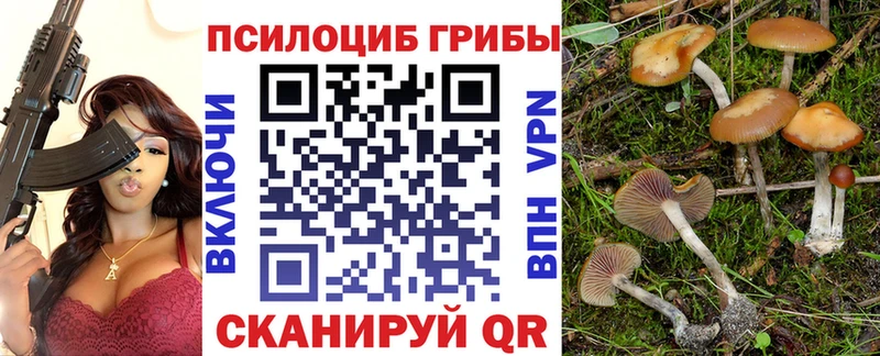 Псилоцибиновые грибы прущие грибы  наркота  Нолинск 